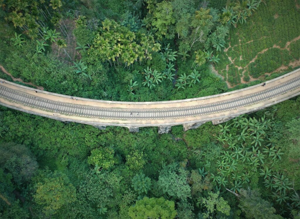 Ella tea country aerial